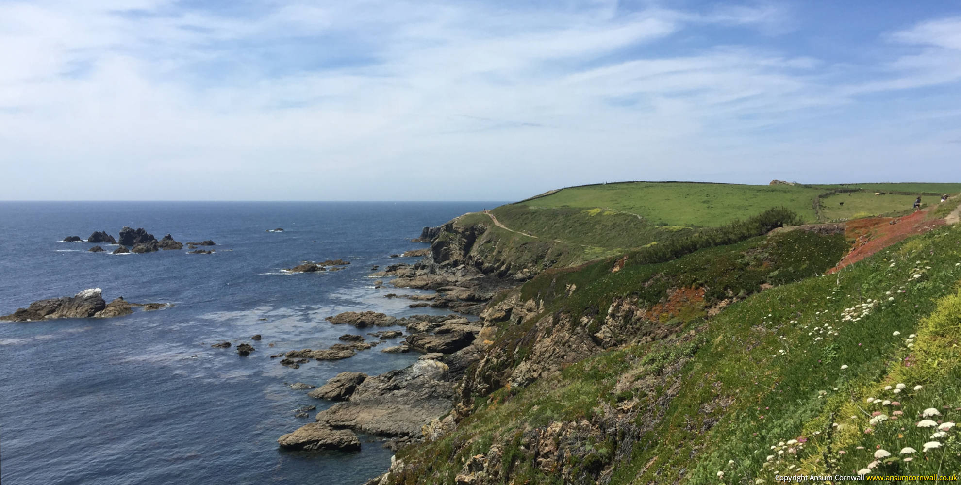Lizard Point Sea and Coastline