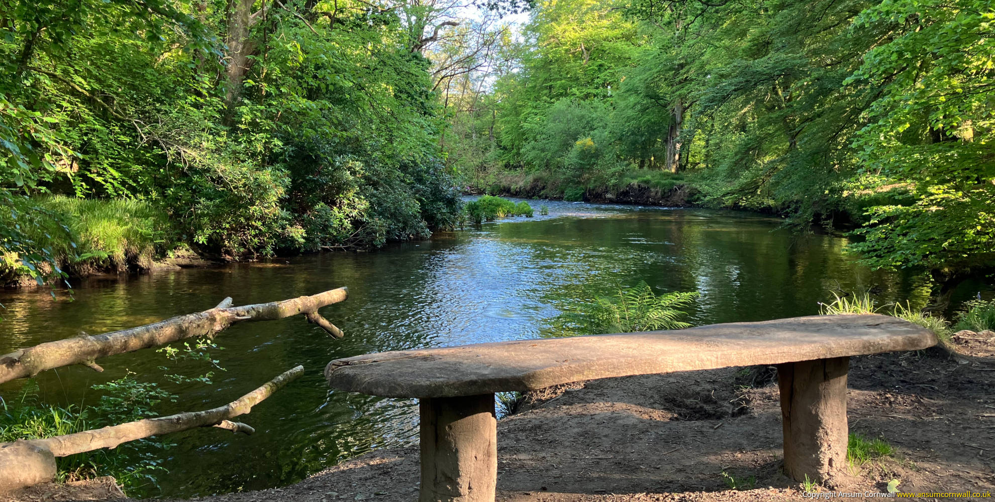 River and bench in Respryn Bridge Woodland