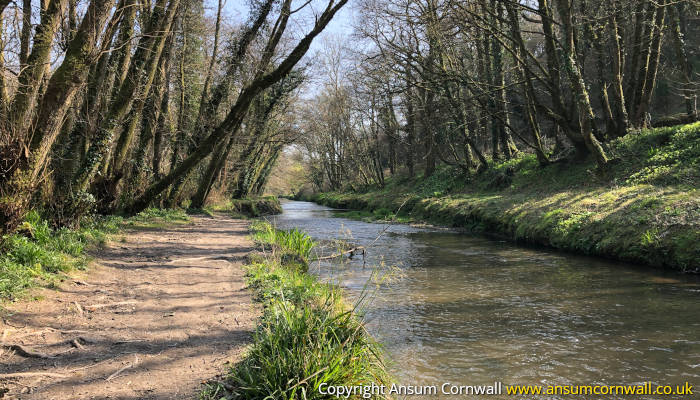 St Austell River Walk, Kings Wood to Pentewan