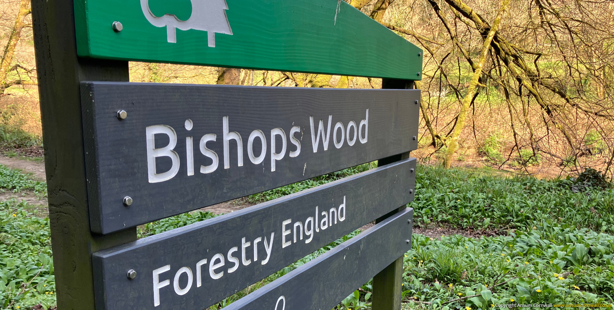 Bishops Wood