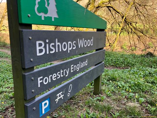 Bishops Wood Thumbnail Photo 1