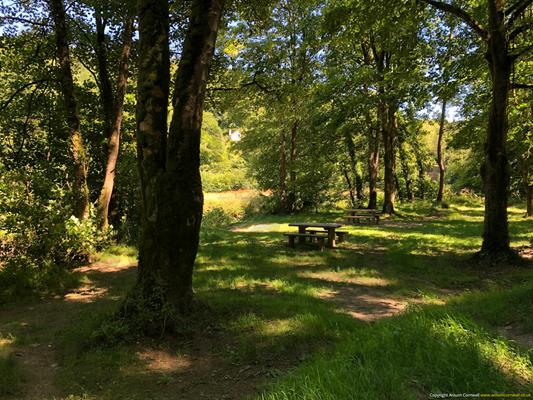 Bishops Wood Thumbnail Photo 2