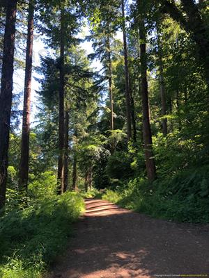 Bishops Wood Thumbnail Photo 3