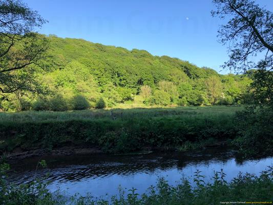 Bishops Wood Thumbnail Photo 4