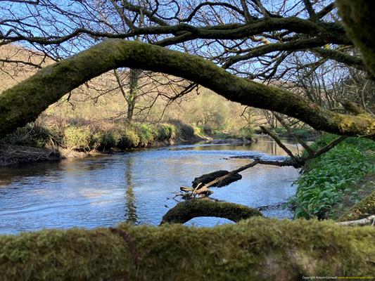 Bishops Wood Thumbnail Photo 8