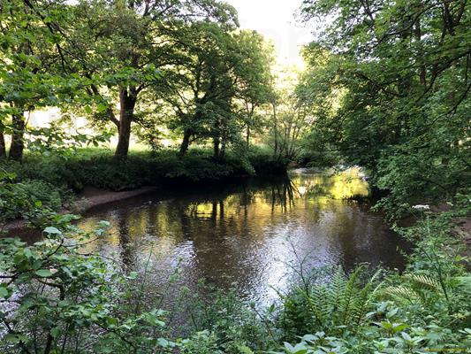 Bishops Wood Thumbnail Photo 11