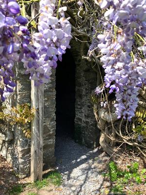 Caerhays Estate Thumbnail Photo 2
