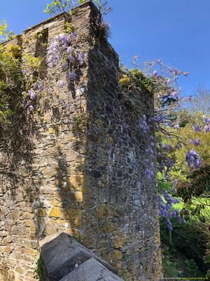 Caerhays Estate Thumbnail Photo 8