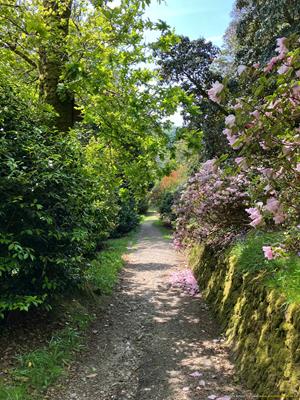 Caerhays Estate Thumbnail Photo 11