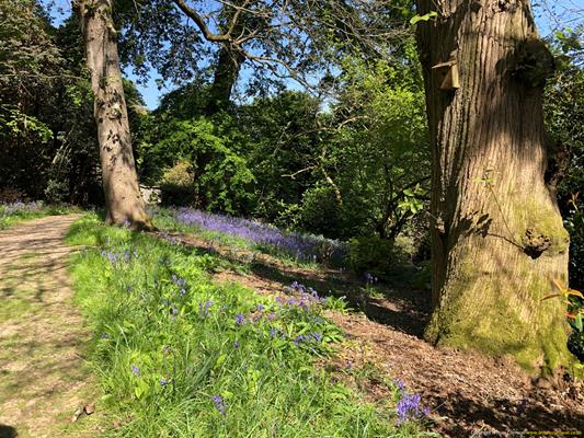 Caerhays Estate Thumbnail Photo 19