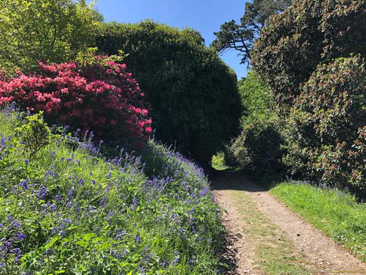 Caerhays Estate Thumbnail Photo 23