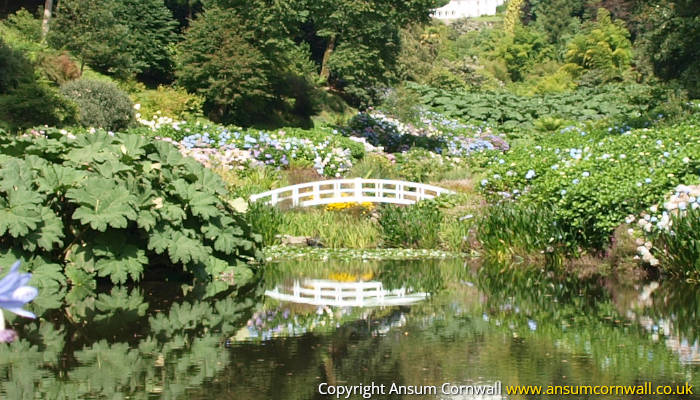 Mallard Pond at Trebah Gardens