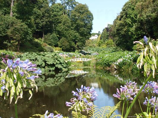 Trebah Gardens Thumbnail Photo 1