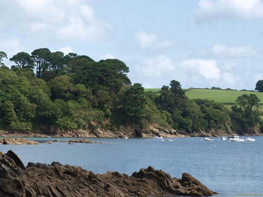 Trebah Gardens Thumbnail Photo 2