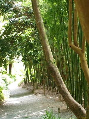 Trebah Gardens Thumbnail Photo 3
