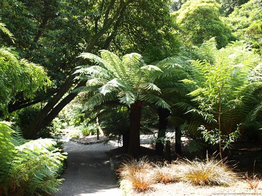 Trebah Gardens Thumbnail Photo 4