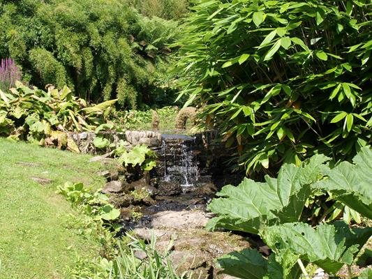Trebah Gardens Thumbnail Photo 13