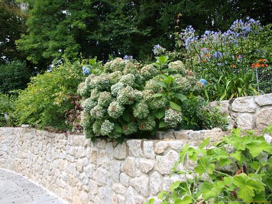 Trebah Gardens Thumbnail Photo 15