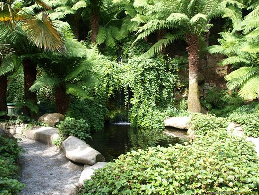 Trebah Gardens Thumbnail Photo 18