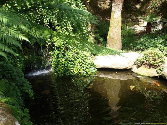 Trebah Gardens Thumbnail Photo 19