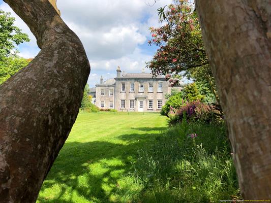 Trewithen Gardens Thumbnail Photo 1