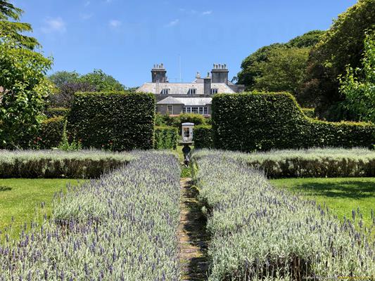Trewithen Gardens Thumbnail Photo 7