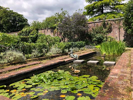 Trewithen Gardens Thumbnail Photo 9