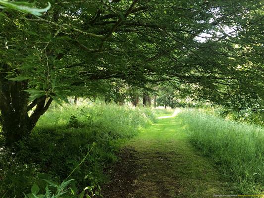Trewithen Gardens Thumbnail Photo 10