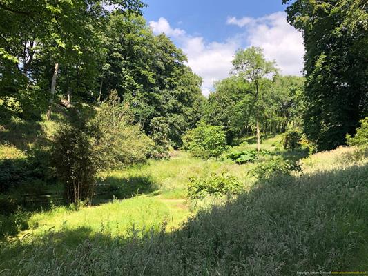 Trewithen Gardens Thumbnail Photo 12