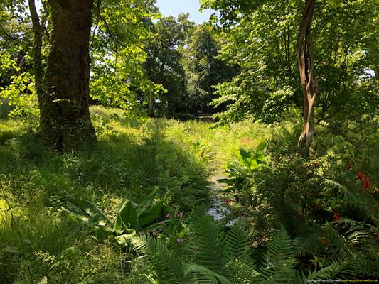 Trewithen Gardens Thumbnail Photo 13