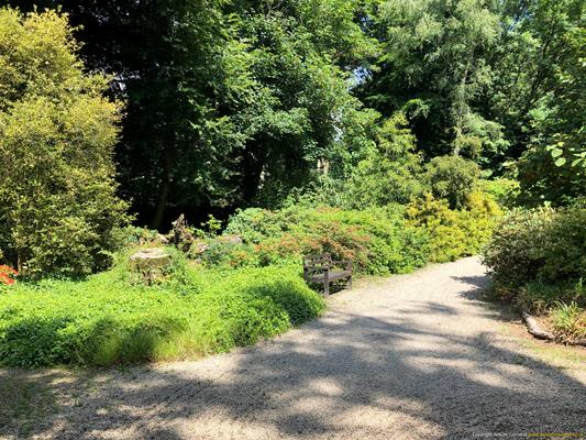 Trewithen Gardens Thumbnail Photo 18