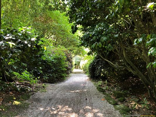 Trewithen Gardens Thumbnail Photo 19