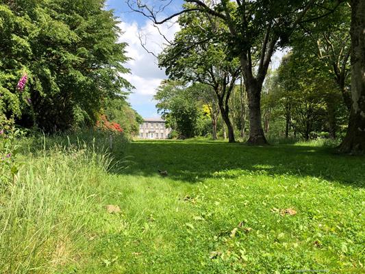 Trewithen Gardens Thumbnail Photo 23