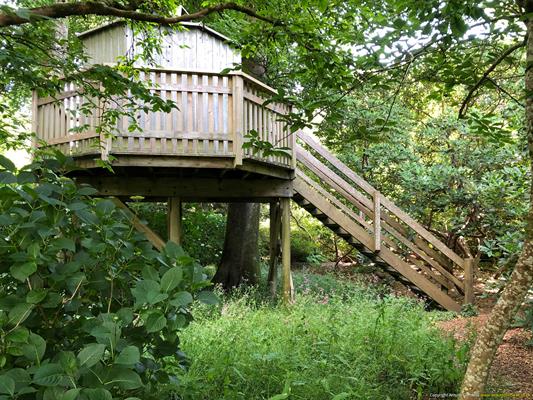 Trewithen Gardens Thumbnail Photo 27