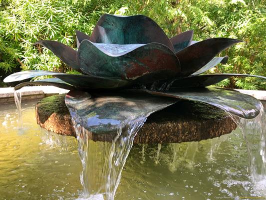 Trewithen Gardens Thumbnail Photo 28