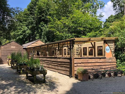 Trewithen Gardens Thumbnail Photo 30