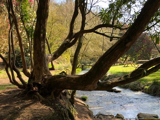 Menacuddle Well Thumbnail Photo 15
