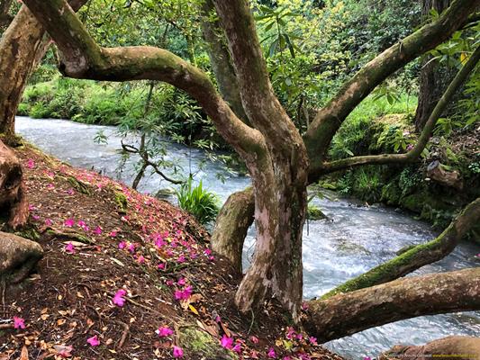 Menacuddle Well Thumbnail Photo 16