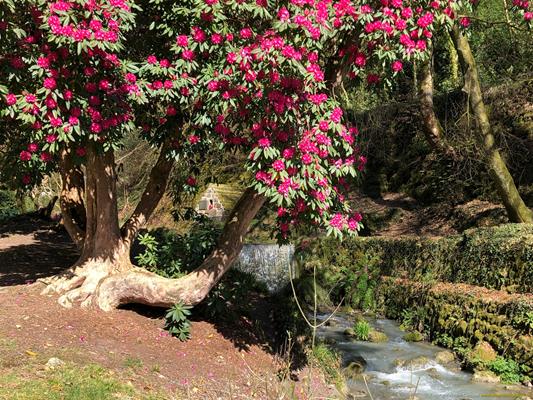 Menacuddle Well Thumbnail Photo 17