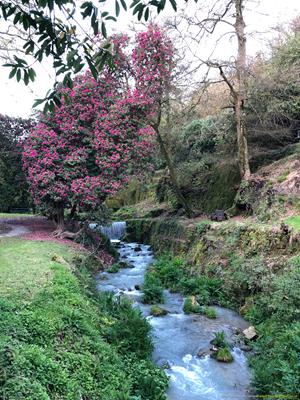 Menacuddle Well Thumbnail Photo 28