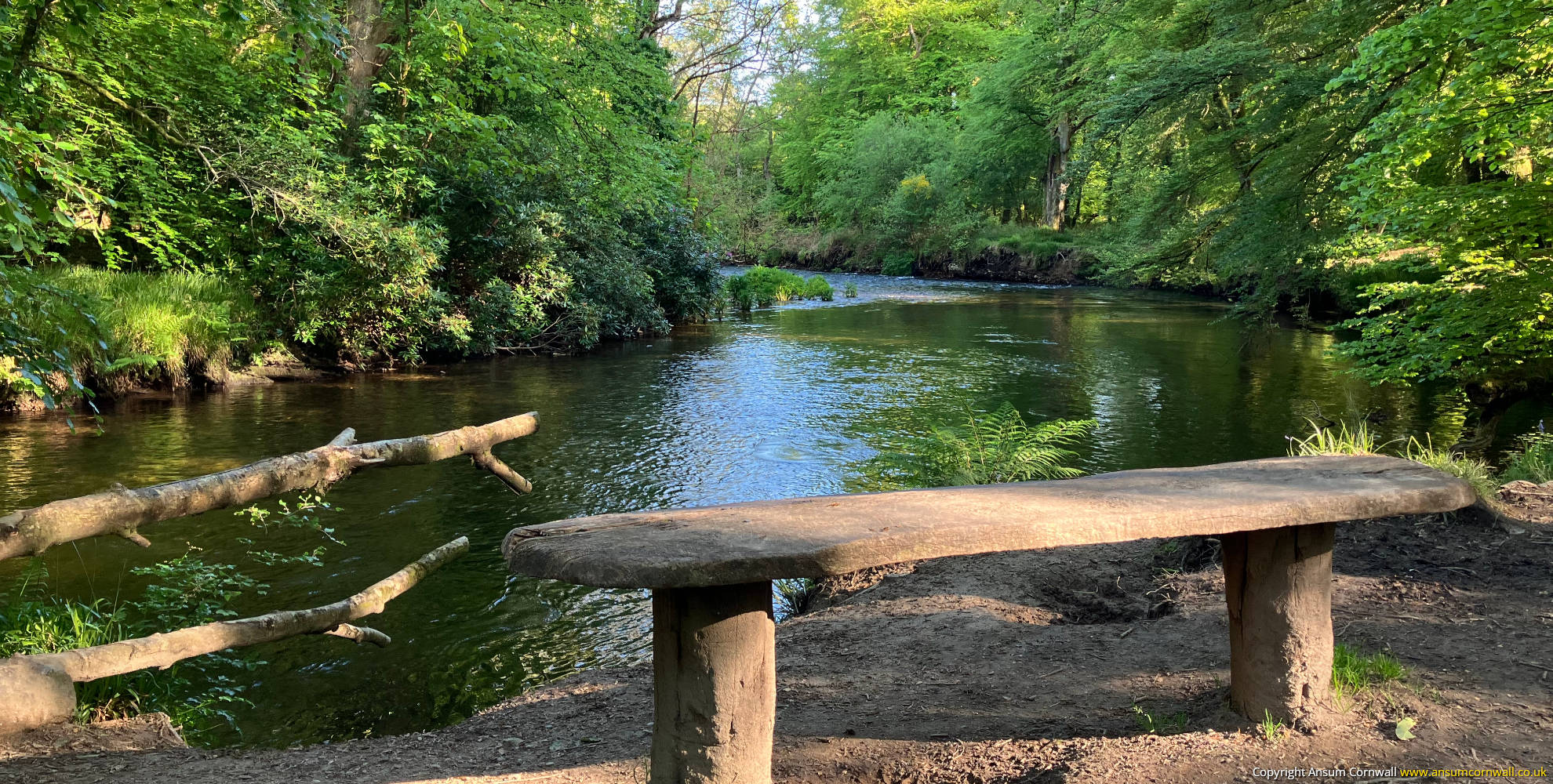 Bench by river in Respryn Bridge Woodland