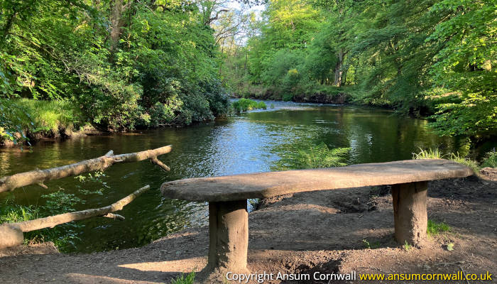 Bench by river in Respryn Bridge Woodland