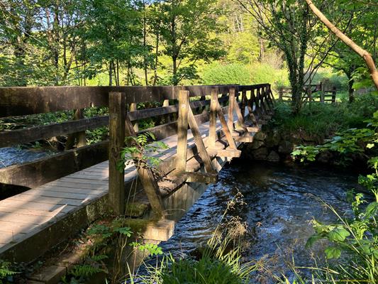 Lanhydrock, Respryn Bridge Thumbnail Photo 4