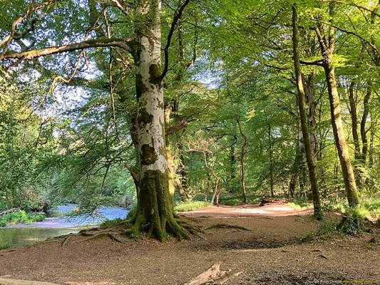 Lanhydrock, Respryn Bridge Thumbnail Photo 10