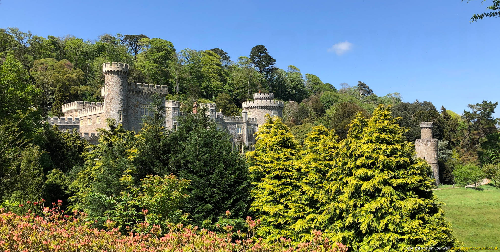 Caerhays Castle Through Trees
