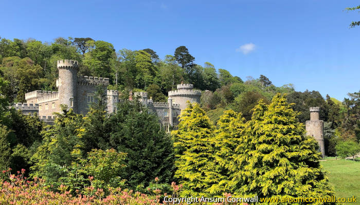 Caerhays Castle Through Trees