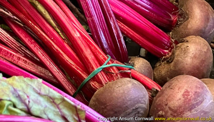 Beetroot at Trevaskis Farm Shop