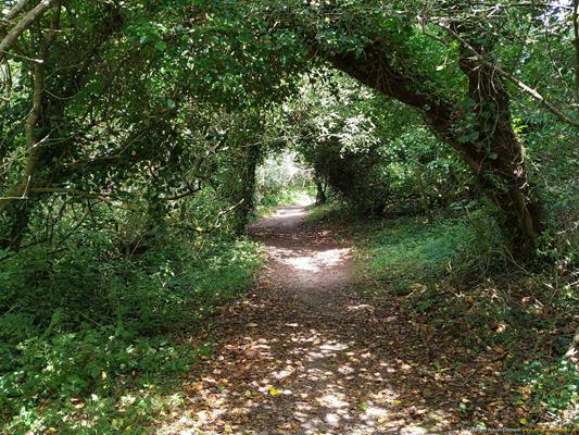 Madron Holy Well Thumbnail Photo 2