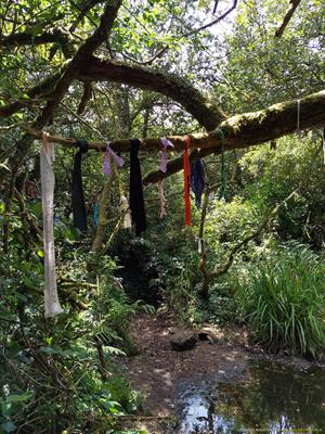 Madron Holy Well Thumbnail Photo 3
