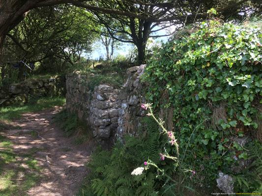 Madron Holy Well Thumbnail Photo 9